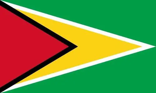 Our Offices guyana